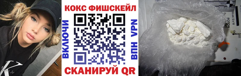 Кокаин Fish Scale  продажа наркотиков  Бавлы 